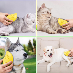 3-in-1 Steam Brush for pet