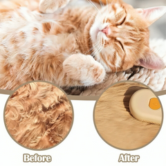 3-in-1 Steam Brush for pets