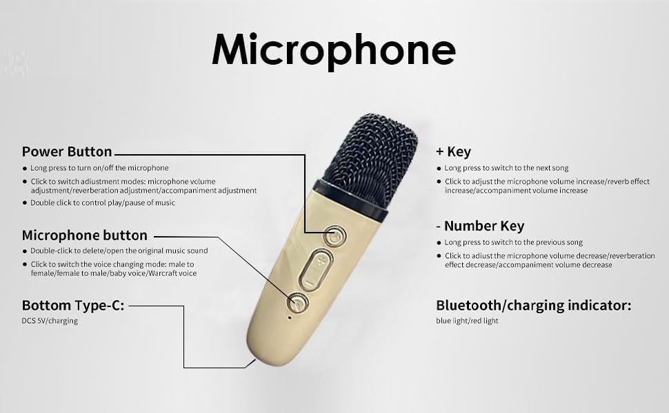 Pocket Karaoke with Wireless Mic